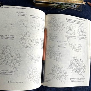 Sổ Artbook VẼ HOA CỔ TRANG