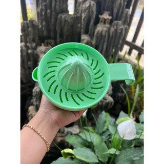 Vắt cam MÀU Việt nhật 101