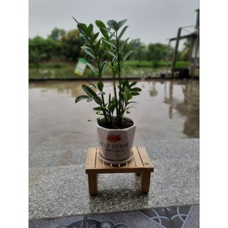 Ghế đôn gỗ, ghế kê chân, ghế gỗ nhỏ
