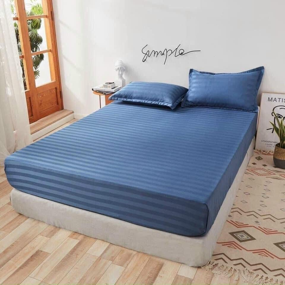 Bộ ga giường Cotton 3F chuẩn khách sạn VIE Home - Bedding nhiều kích thước drap bọc nệm M4,M6,M8 trơn màu