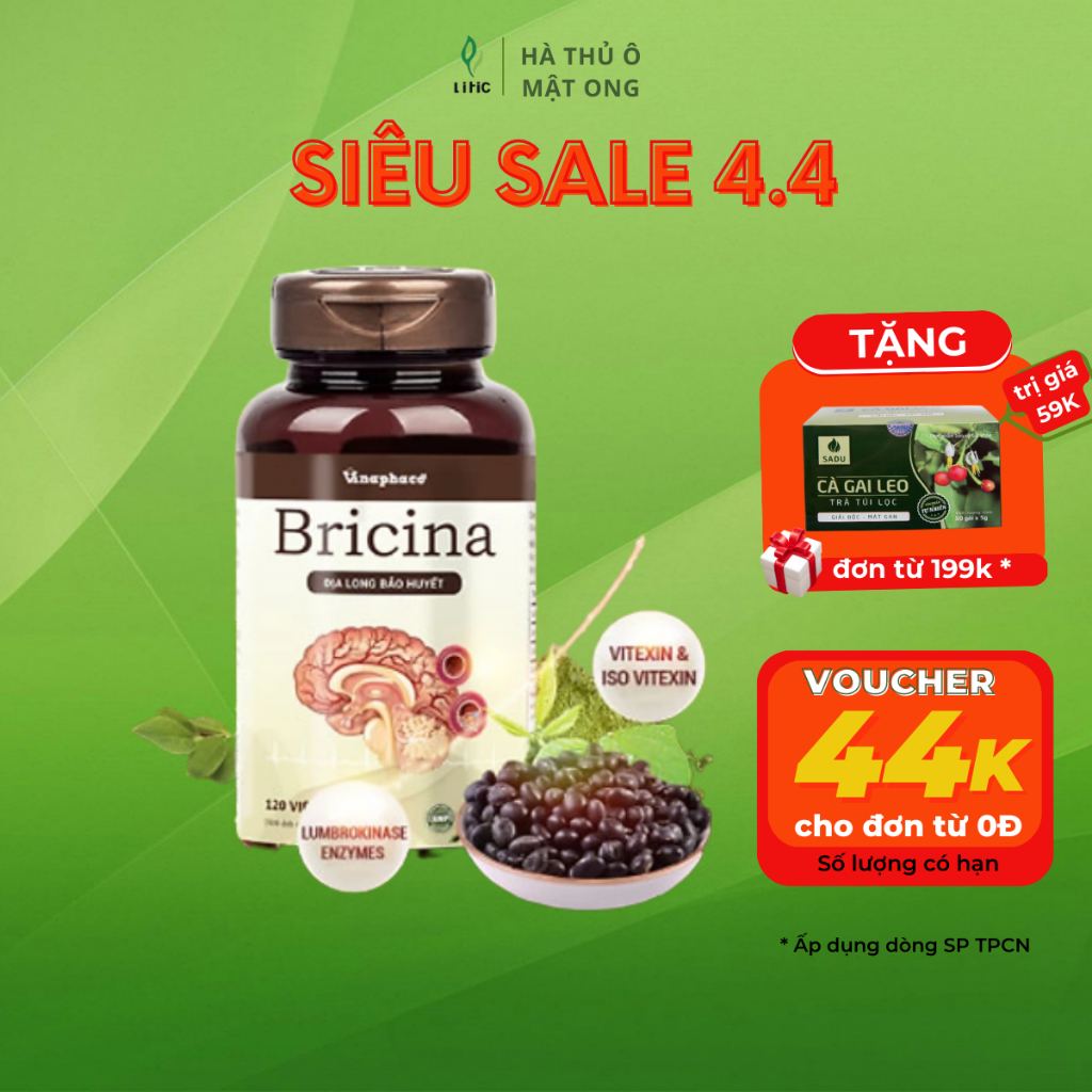BỔ NÃO BRICINA – Địa Long bảo huyết hỗ trợ tan cục máu đông, hỗ trợ sau tai biến do tắc mạch máu