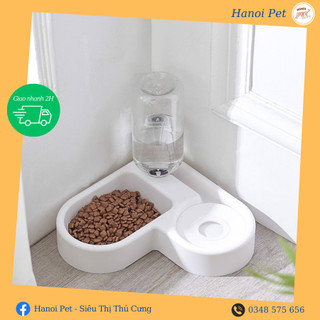 Bát đựng thức ăn chó mèo và bình uống nước tự động