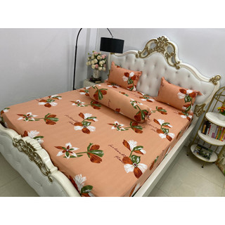Bộ Drap Thun Hàn Quốc Mát Lạnh nhiều màu {CHAT để chọn màu nha các bạn}