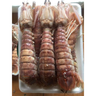 Tôm tít hấp nguyên con, bự lầm  - 1kg