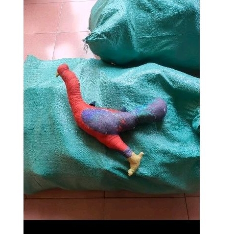 gà bông tập lực mới