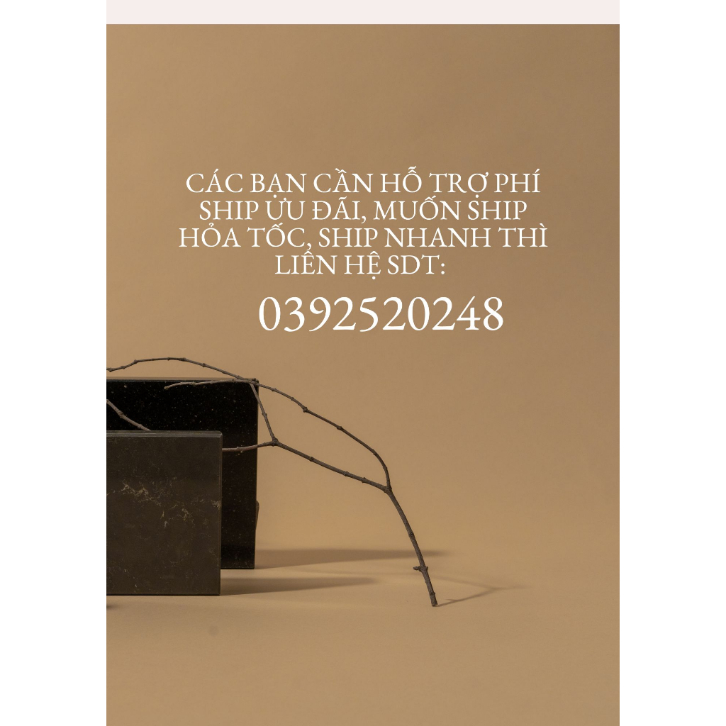 Ghế đơn thiết kế kiểu Bắc Âu bằng thép không gỉ trang trí phòng khách, quán cafe, studio