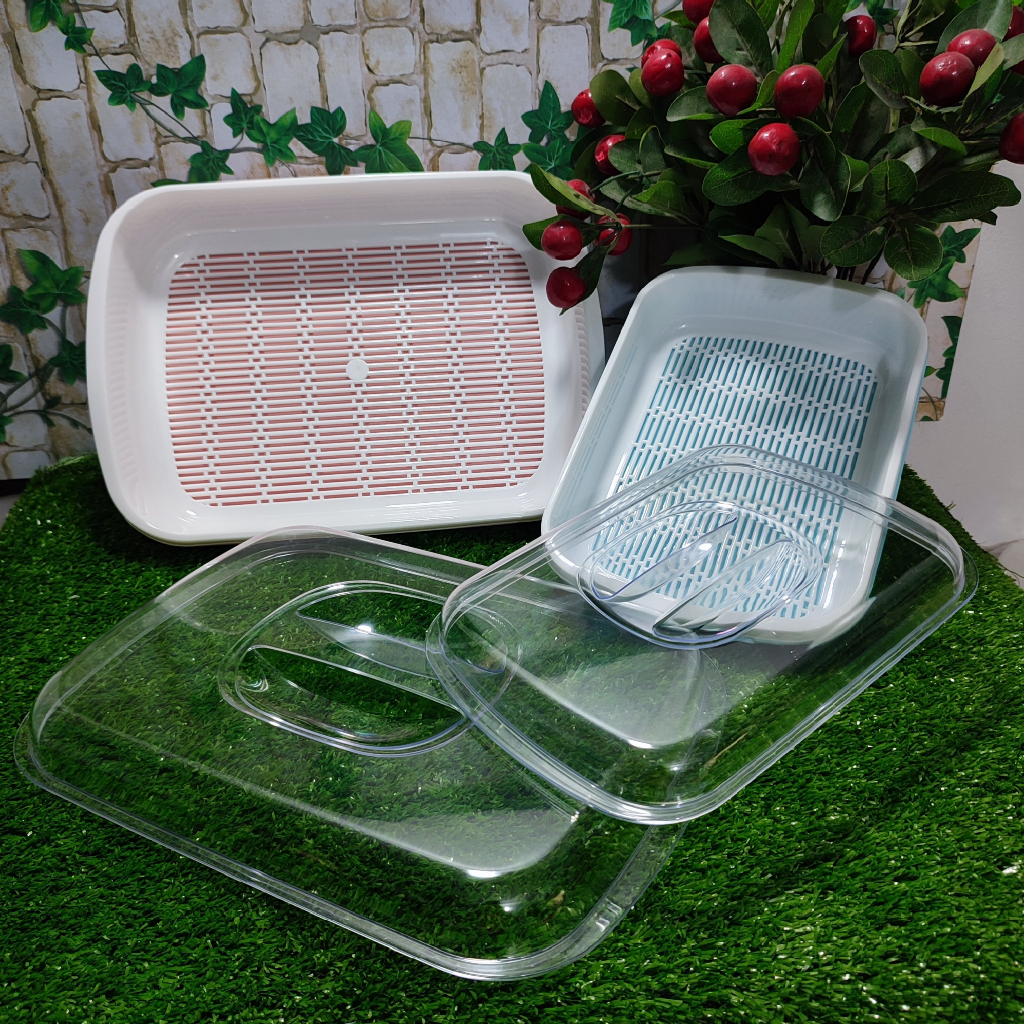 🌱 Hộp đựng bảo quản rau củ quả ,Khay có nắp nhựa duy tân 🌱