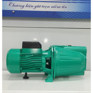 Máy bơm nước con lợn panie 750 w