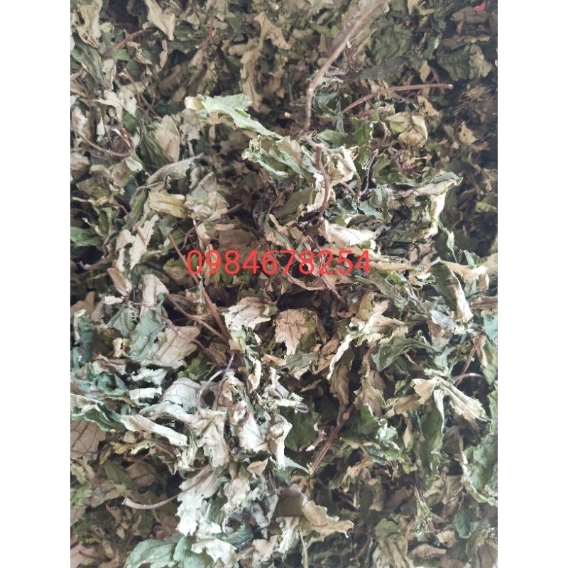 Lá đắng  chuẩn rừng tây bắc