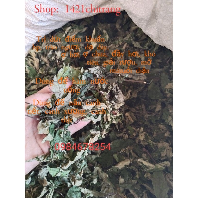 Lá đắng rừng  tây bắc