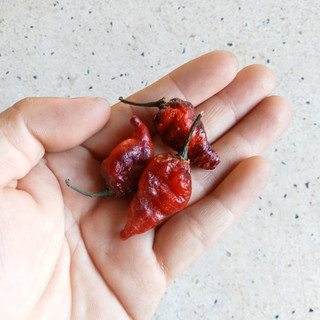 3 Hạt Ớt Naga Scolt Twister