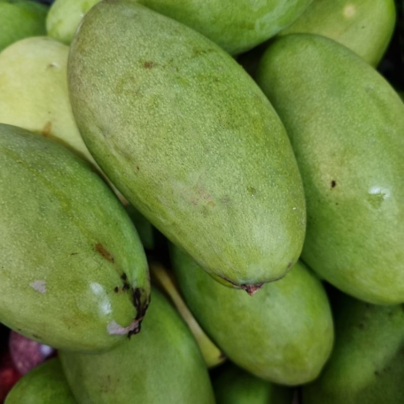 Xoài keo Bến Tre