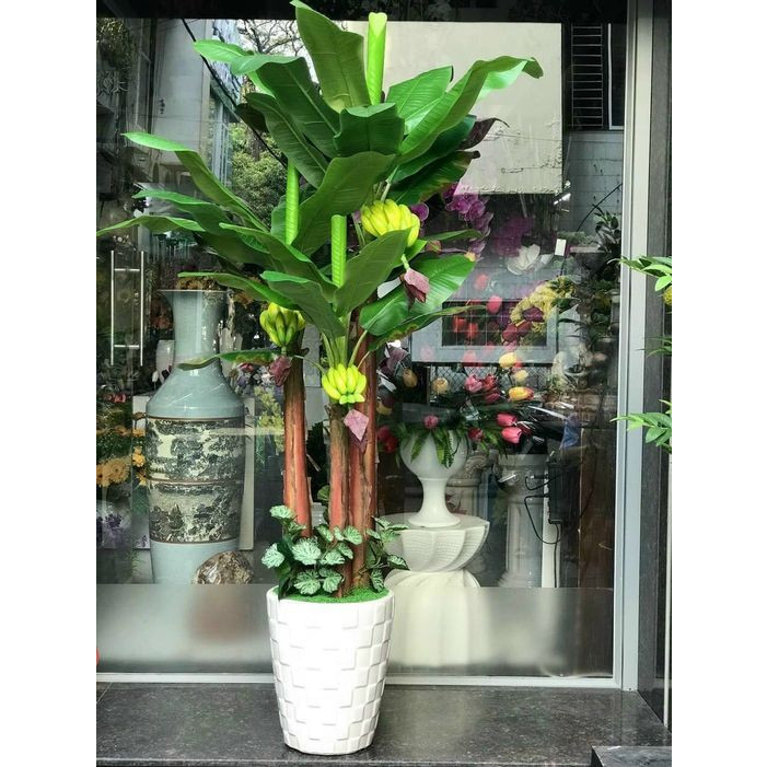 Cây chuối có buồng 3 thân 160cm giả cao cấp decor phòng khách, nhà hàng, quán ăn.