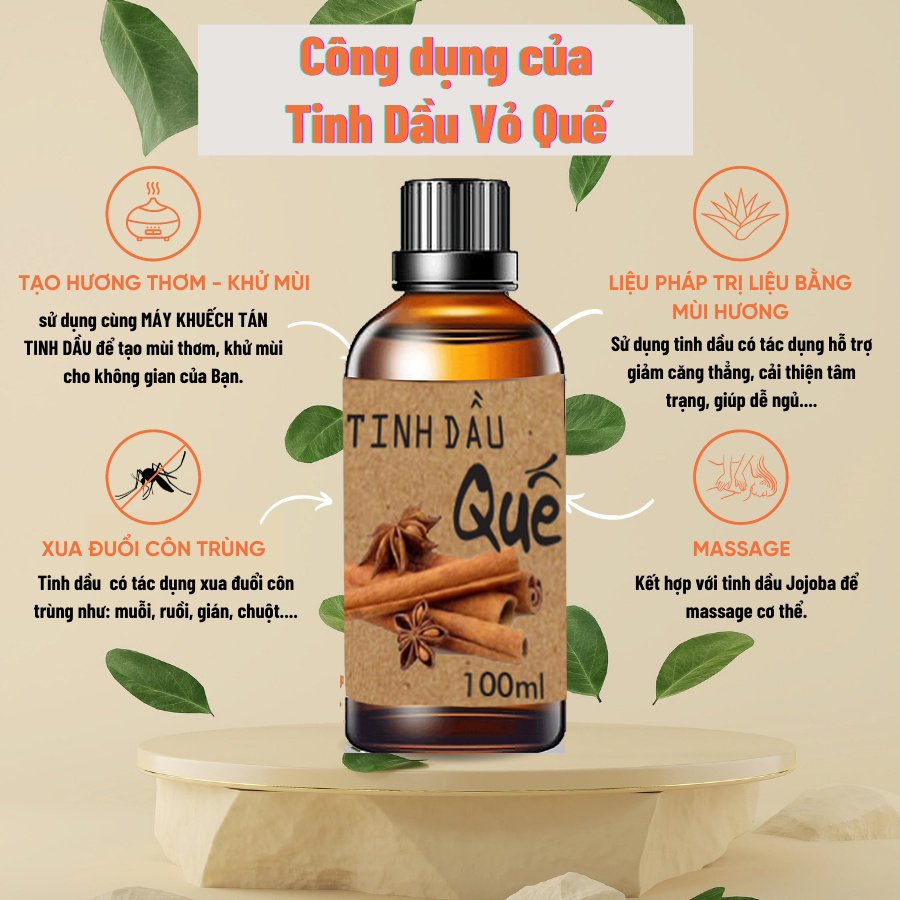Tinh dầu quế hỗ trợ khử khuẩn,  khử mùi đem lại cảm giác thoải mái, thư giãn với hương thơm tự nhiên - sunstore.office