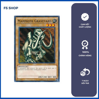 Thẻ bài Yugioh chính hãng Mammoth Graveyard (Common)