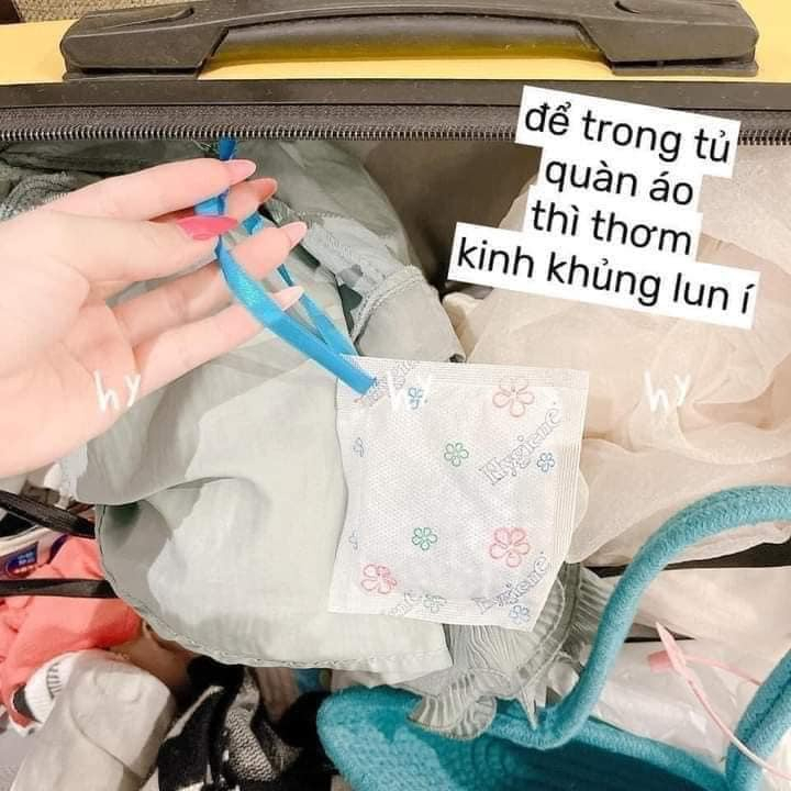 Túi Thơm Để Tủ Quần Áo Hygiene Thái Lan 8g