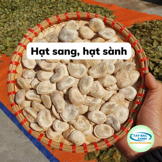 Hạt Sang, hạt Sành hỗ trợ bệnh dạ dày, đạ tràng, đi ngoài, phân lỏng, khó tiêu của người dân tộc H'Mông | TayBacXanh