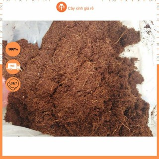 Mùn xơ dừa trồng lan, cây cảnh, rau mầm, dâu tây, túi 19x27cm như ảnh (đã qua xử lý)