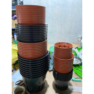 Chậu nhựa trồng lan các mẫu mới nhất