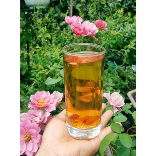 Trà Mãng cầu tươi sấy khô