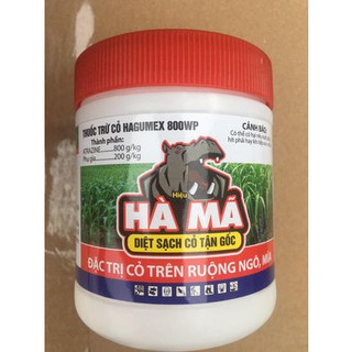 Thuốc trừ cỏ chùm trên ngô