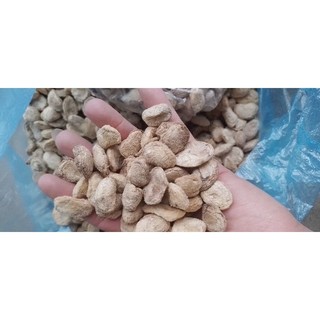 10 hạt sang, hạt sành chữa đau dạ dày, đại tràng