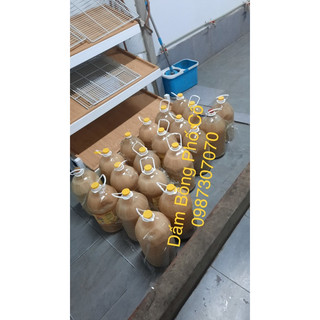 Dấm Bỗng Nếp Hà Nội