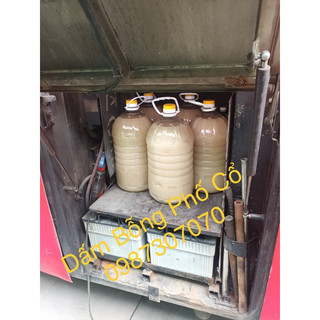 Dấm Bỗng Nếp Hà Nội