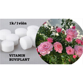 Gói 100 viên phân bón buviplant siêu kích nụ và dưỡng hoa