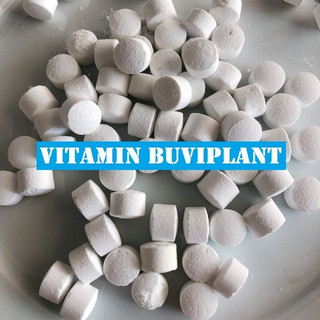 Gói 50 viên phân bón buviplant siêu dinh dưỡng cho cây