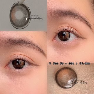 Lens kính áp tròng yur brown