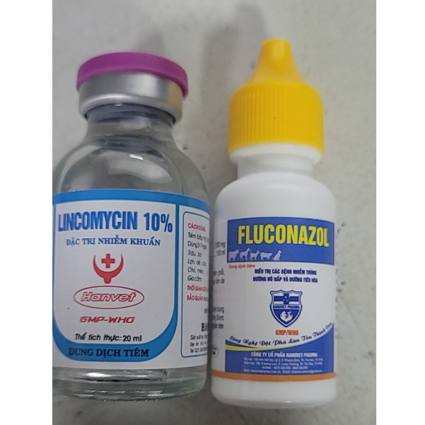 Cặp nấm cóc hầu, nấm sâu trong họng, nấm ngoài da, gà chọi,thỏ...