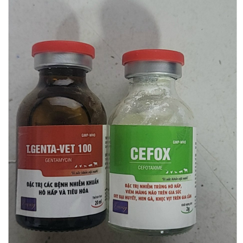Bại huyết, tụ huyết trùng vịt, gà ngan, ngỗng, Cặp pha tiêm 20ml
