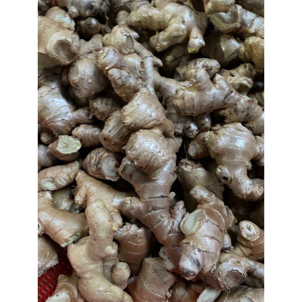 GỪNG SẺ ĐỒI VÂN TÍM SẤY KHÔ