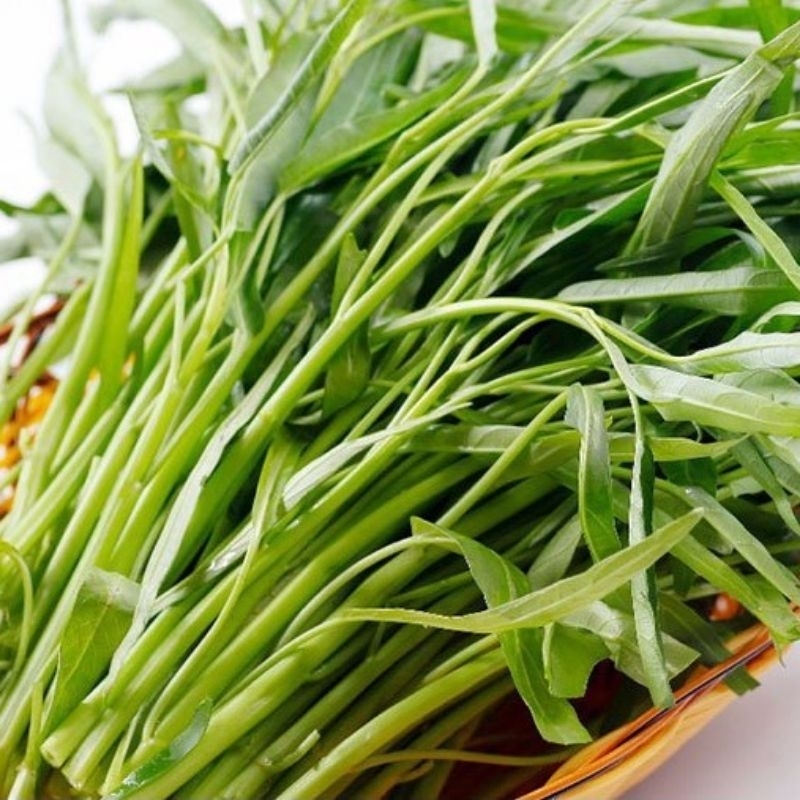 50 hạt rau muống lá tre