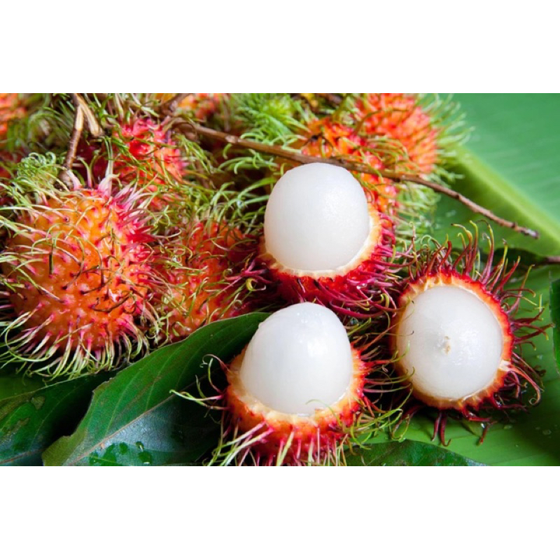 Chôm chôm Thái giòn ngọt 1kg [HCM]