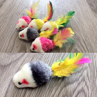 Chuột lông vũ đồ chơi cho mèo🐹