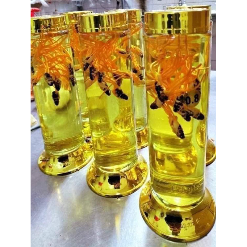 BÌNH THUỶ TINH NGÂM RƯỢU SÂM CAO CẤP HIỆU PH