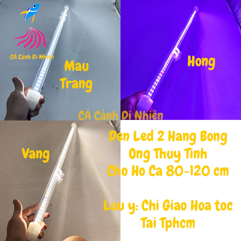 Đèn Led 2 hàng bóng ống thủy tinh cho hồ bể cá rồng 80cm 100cm 120cm Trắng Vàng Hồng