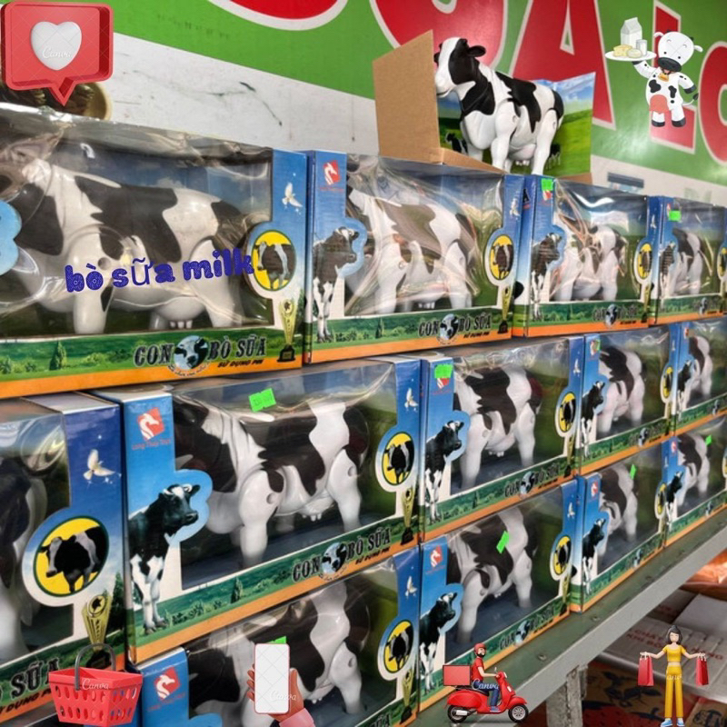 Bánh tráng sữa Trạm dừng chân bò sữa Nhơn Hoàng