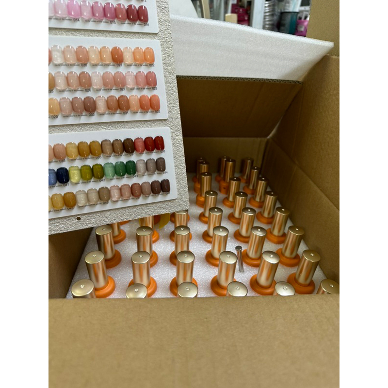 Set sơn thạch 48 màu cao cấp