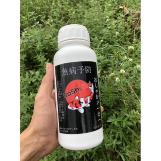 Boshi koi nhật ( phòng bệnh hàng tháng cho cá koi nhật - cá koi việt nam)
