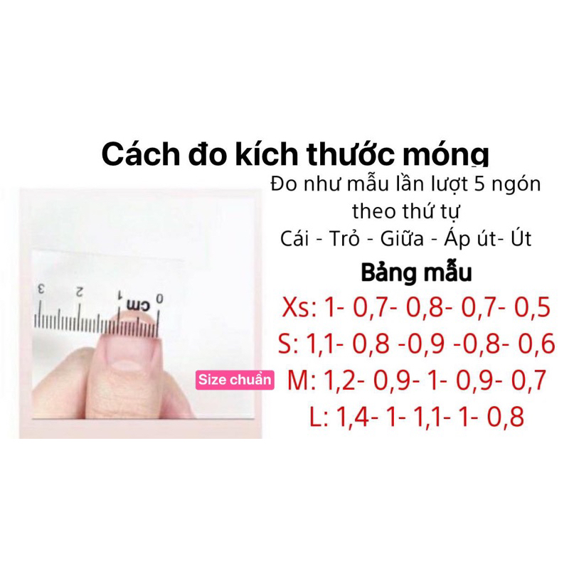Nailbox xám mắt mèo charm bứm