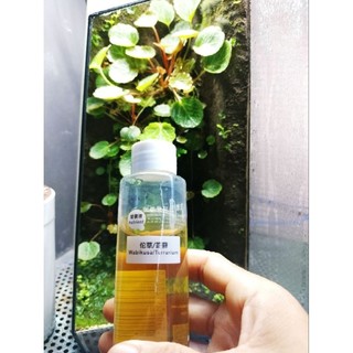 Chế phẩm dinh dưỡng cho bể terrarium. chai 100ml
