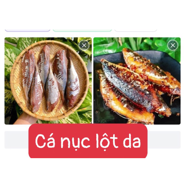 Cá nục lột da size to