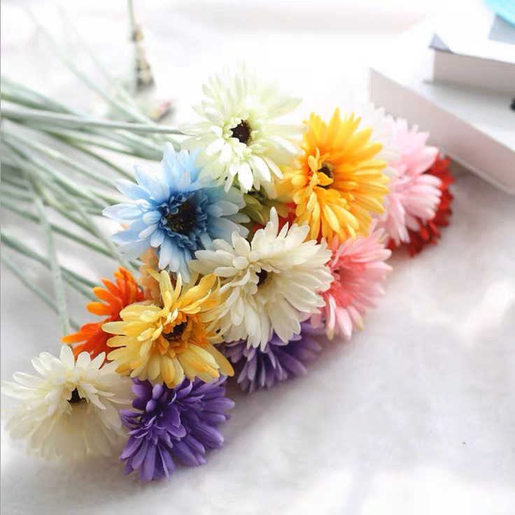 Hoa Đồng Tiền Hoa Giả Giống Thật 100% Decor Trang Trí Đẹp Để Bàn Phòng Khách Chụp Ảnh Minhome