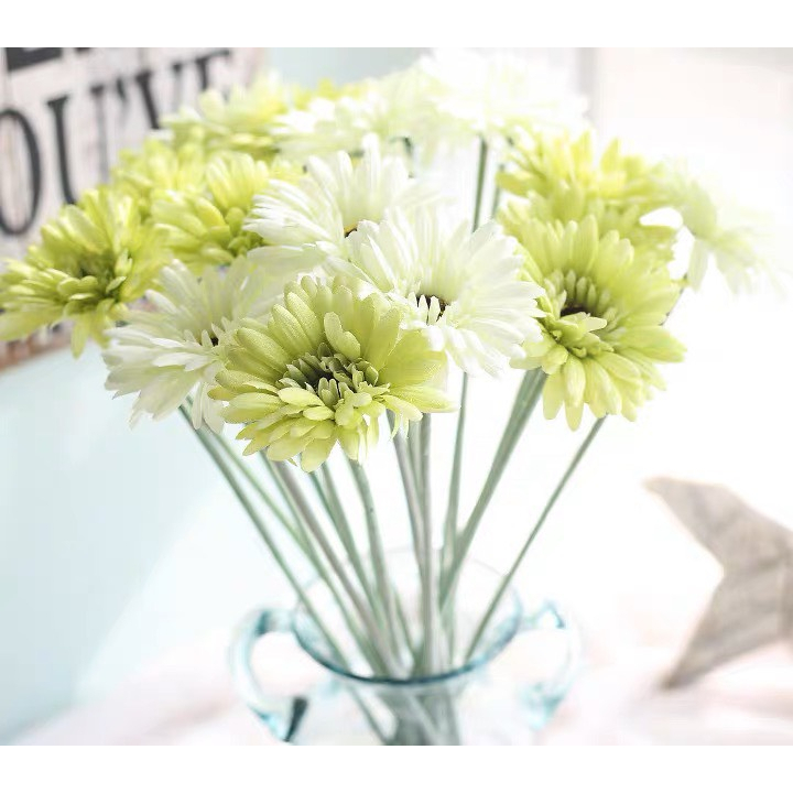 Hoa Đồng Tiền Hoa Giả Giống Thật 100% Decor Trang Trí Đẹp Để Bàn Phòng Khách Chụp Ảnh Minhome