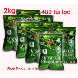 2kg Trà túi lọc cà gai leo Sadu