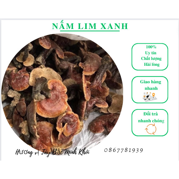 500g Nấm Lim Xanh Sơn La Tốt Cho Sức Khỏe Loại Chuẩn 500g