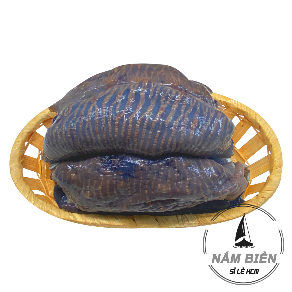 Combo Nấm biển Siêu Giòn loại 1. Nấm to chế biến đa dạng